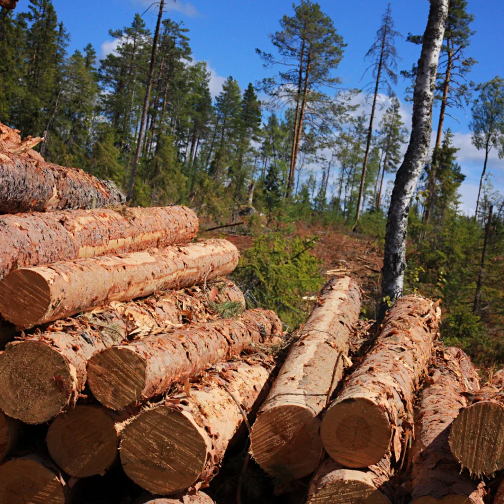 1 30e2996c 9d25 4410 8e45 76de41c141fb